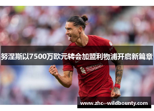 努涅斯以7500万欧元转会加盟利物浦开启新篇章 努涅斯以7500万欧元转会加盟利物浦开启新篇章