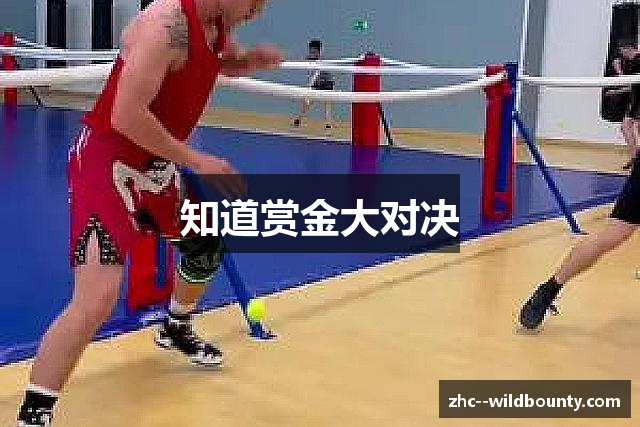 知道赏金大对决